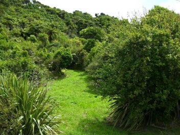 Image 1 of 7