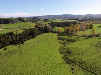 Warkworth Future Urban Opportunity