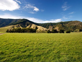 Image 1 of 15