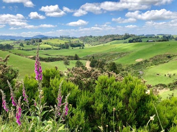 Image 1 of 17