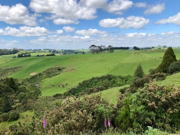 Image 1 of 16