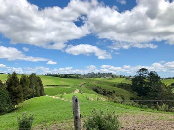 Image 1 of 17