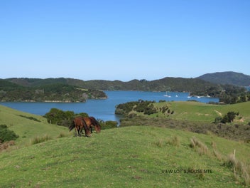 Image 1 of 20