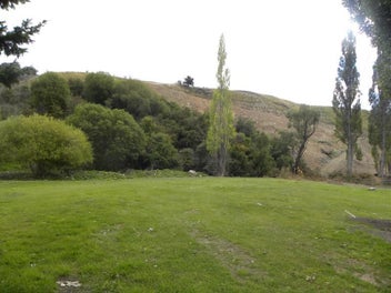 Cardrona Gold