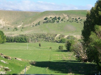 Image 1 of 14