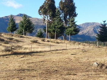 Image 1 of 5