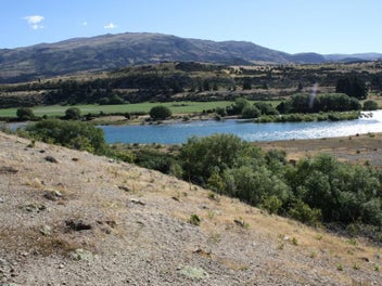Image 1 of 14