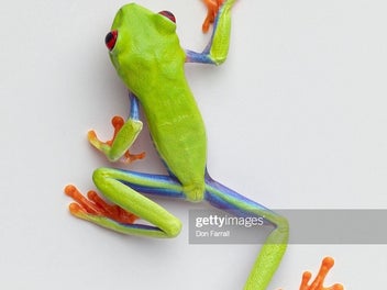 Image 1 of 50