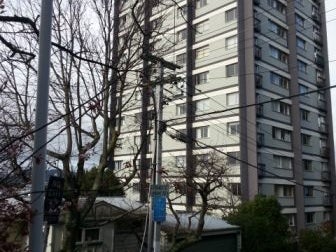 Image 1 of 9