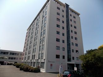Image 1 of 12