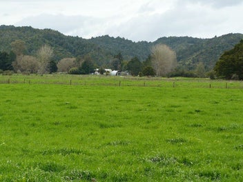 Image 1 of 15