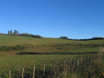 Image 1 of 16