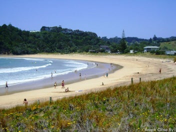 Image 1 of 16