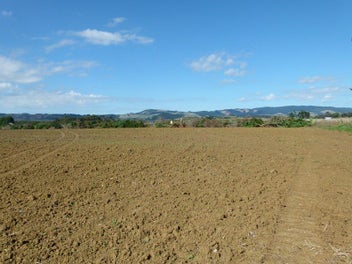 Image 1 of 12