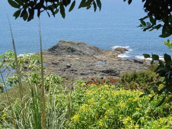 Image 1 of 17