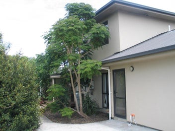 Image 1 of 10