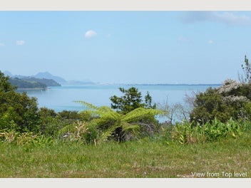 Image 1 of 20