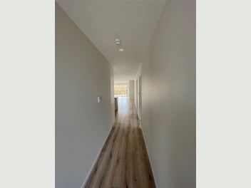 Image 1 of 31