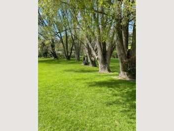 Image 1 of 9
