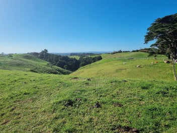 Image 1 of 8