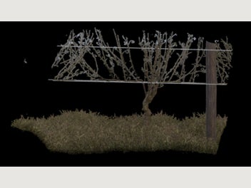 Image 1 of 14