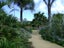gallery view thumbnail