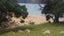 gallery view thumbnail