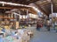 gallery view thumbnail