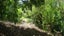 gallery view thumbnail