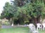 gallery view thumbnail