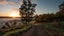 gallery view thumbnail