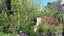 gallery view thumbnail
