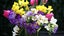 gallery view thumbnail