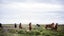 gallery view thumbnail