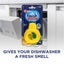 Finish Lemon and Lime Dishwasher Freshener 15 g (Pack of 9) - New Carousel 3