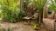 gallery view thumbnail