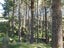 gallery view thumbnail
