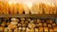 Bread Run Carousel 1