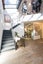 gallery view thumbnail