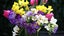 gallery view thumbnail