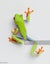 gallery view thumbnail