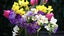 gallery view thumbnail