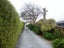 gallery view thumbnail