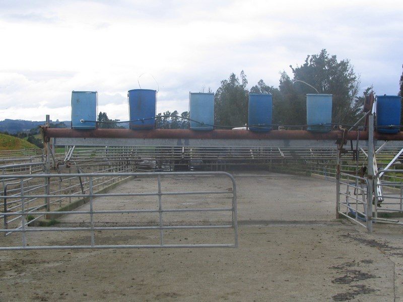 gallery carousel 14
