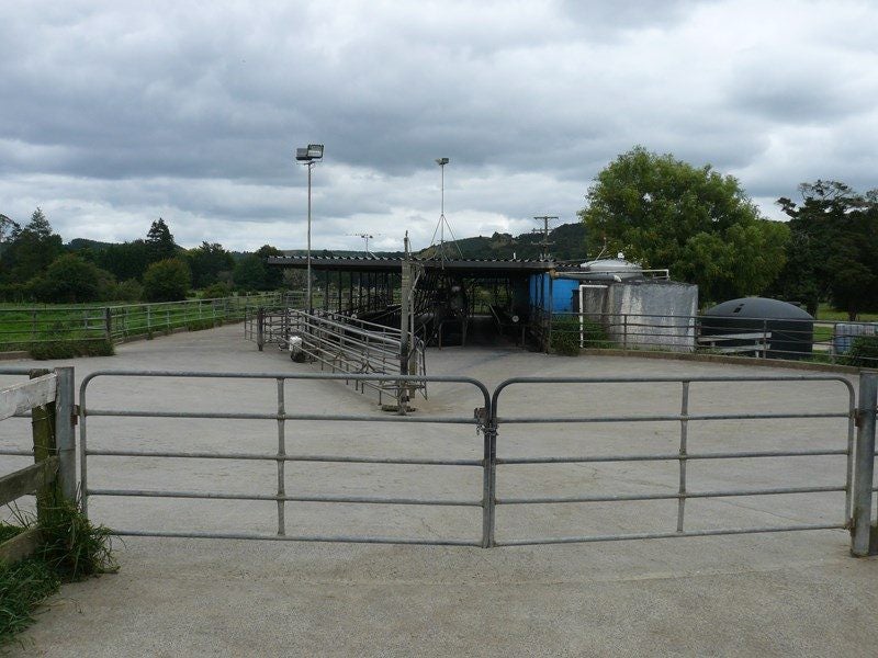 gallery carousel 2