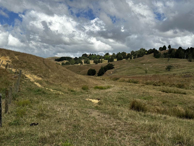 Image 2 of 12