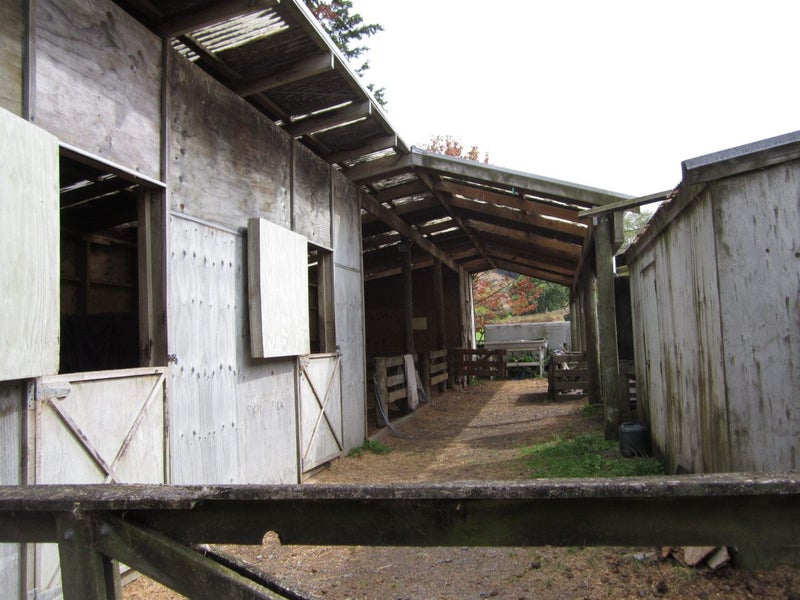 gallery carousel 7