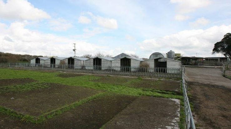 gallery carousel 6