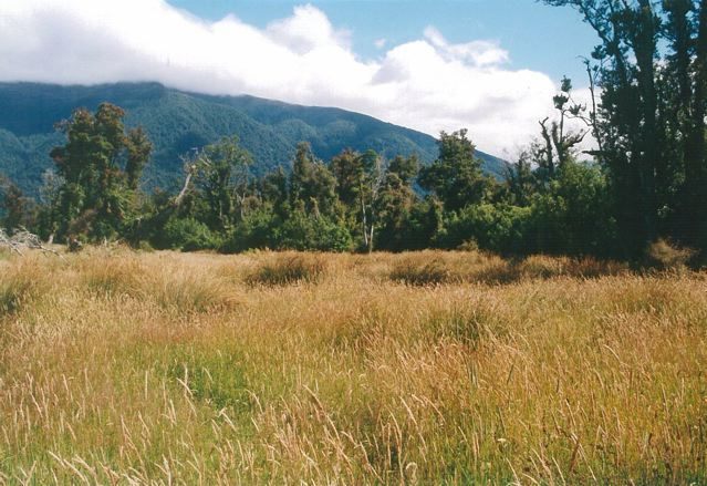 gallery carousel 2