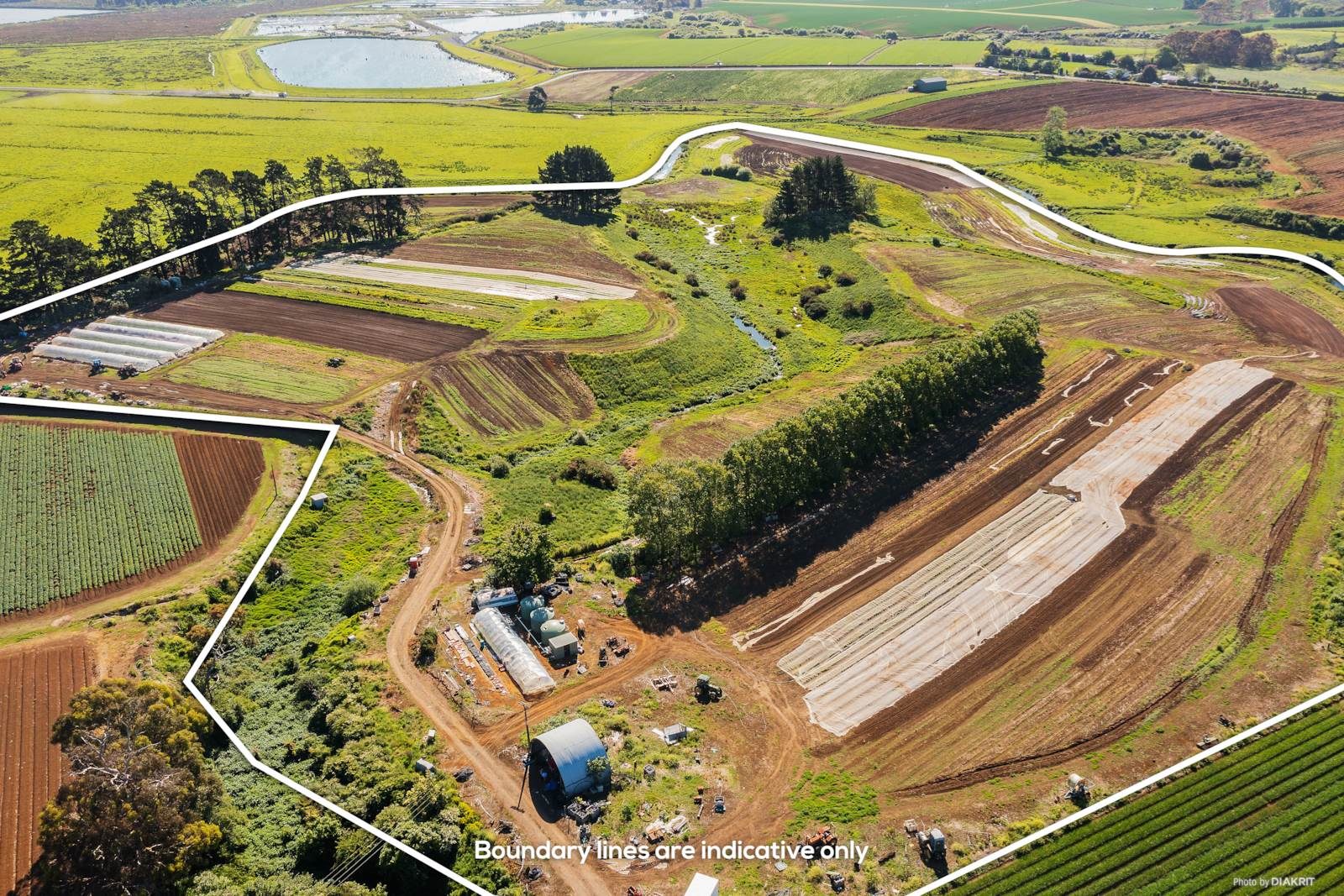 81 acres! Fallen contract- overseas owner want... — slide 2